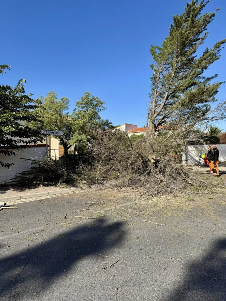 566235251_122174558828759990_421973771116020832_n